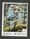 Stamps Romania -  Stix occidentalis