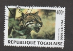 Stamps : Africa : Togo :  Felis pardalis