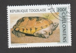 Stamps : Africa : Togo :  Tortuga Staurotypus triporcatus