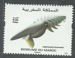 Stamps Morocco -  Aegerocassis