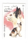 Stamps Afghanistan -  Gatos. Japanese Bobtail