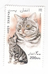 Stamps Afghanistan -  Gatos. American shorthair