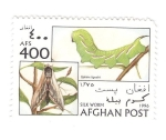Sellos del Mundo : Asia : Afganist�n : Gusano de seda. sphinx ligustri