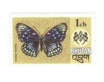 Stamps Bhutan -  Mariposas. Sephisa chandra