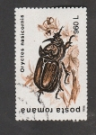 Sellos de Europa - Rumania -  Oryctes nasicornis