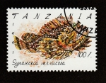 Sellos de Africa - Tanzania -  Syuauceia verrucosa