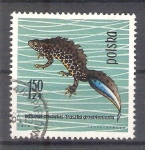 Stamps Poland -  anifbio RESERVADO