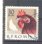 Sellos de Europa - Rumania -  gallina RESERVADO