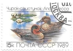 Sellos de Europa - Rusia -  patos