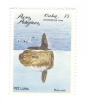 Sellos de America - Cuba -  Peces pelágicos. Pez luna