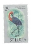 Stamps America - Saint Lucia -  Florida caerulea