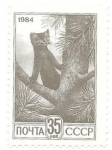 Stamps Russia -  mustélido