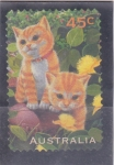 Stamps : Oceania : Australia :  gatitos 