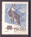 Stamps Poland -  serie- Bosque y montaña