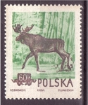 Sellos de Europa - Polonia -  serie- Bosque y montaña