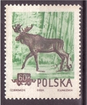 Stamps Poland -  serie- Bosque y montaña