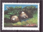 Sellos de Europa - Malta -  Fauna marina
