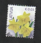 Stamps Latvia -  945 - Flor, Narcisos