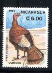 Sellos de America - Nicaragua -  pavo