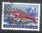 Sellos de Europa - Yugoslavia -  langosta RESERVADO