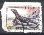 Stamps : Europe : Belgium :  lagarto RESERVADO