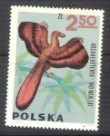 Sellos de Europa - Polonia -  dinosaurio archaeopteryx RESERVADO