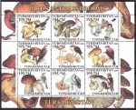 Stamps Asia - Turkmenistan -  Aves y setas