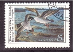 Stamps Russia -  serie- Patos