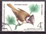 Stamps Russia -  serie- Pajaros
