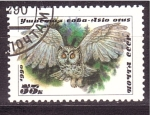 Stamps Russia -  serie- Aves nocturnas