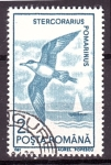 Stamps Romania -  serie- Aves