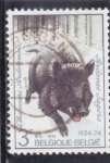 Stamps : Europe : Belgium :  jabali