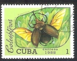 Stamps Cuba -  coleóptero