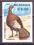 Stamps : America : Nicaragua :  serie- Aves domesticas