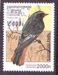 Stamps Cambodia -  serie- Pajaros