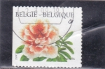 Stamps Belgium -  flores-