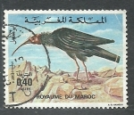 Sellos de Africa - Marruecos -  Ave