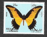 Stamps United Arab Emirates -  Mi1019A - Mariposa