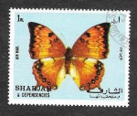 Sellos de Asia - Emiratos �rabes Unidos -  Mi1021A - Mariposa