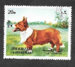 Sellos de Asia - Emiratos rabes Unidos -  Mi1024 - Perro