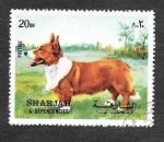 Sellos de Asia - Emiratos rabes Unidos -  Mi1024 - Perro
