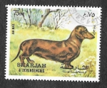 Stamps : Asia : United_Arab_Emirates :  Mi1026A - Perro