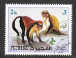 Sellos del Mundo : Asia : Emiratos_rabes_Unidos : Mi1535A - Monos