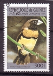 Sellos de Africa - Guinea -  serie- Pajaros