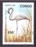 Stamps Republic of the Congo -  serie- Aves zancudas