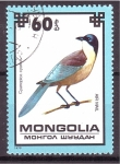 Stamps Mongolia -  serie- Aves