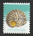 Stamps United States -  4977 - Concha marina