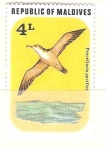 Stamps Maldives -  procellaria pacifica