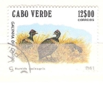 Stamps : Africa : Cape_Verde :  guinea de campo RESERVADO
