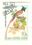 Stamps Russia -  ave lira  RESERVADO